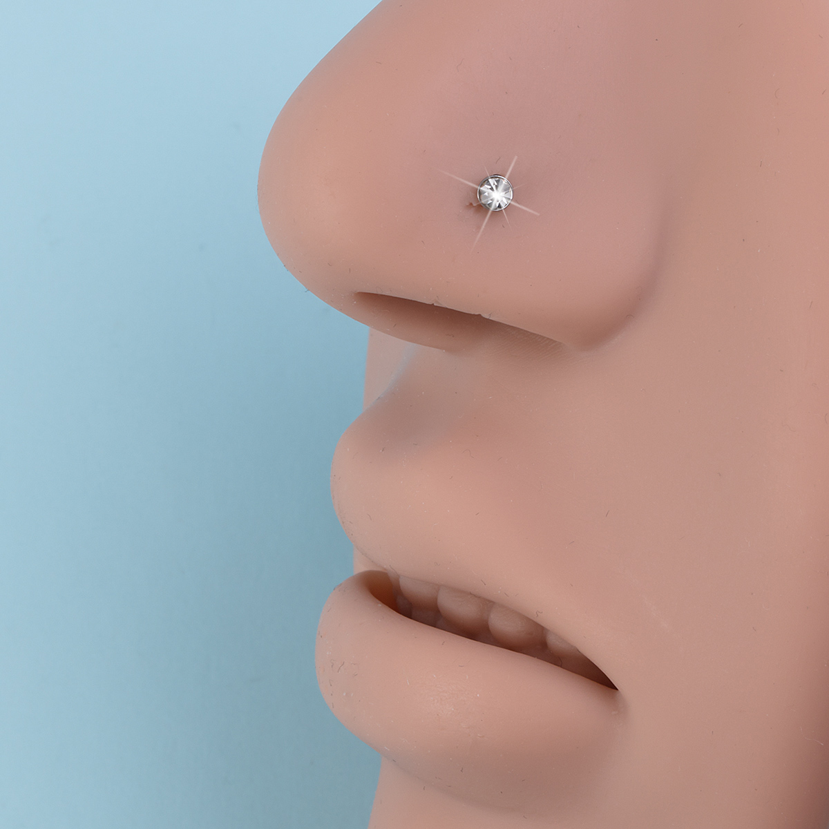61 قطعة مجموعة ثقب الأنف بما ف - مراجعة Body Jewelry Factory وسعره