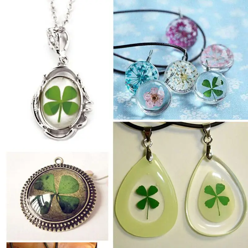 12 قطعة محظوظ المجففة ورقة الب - مراجعة Body Jewelry Display Case وسعره